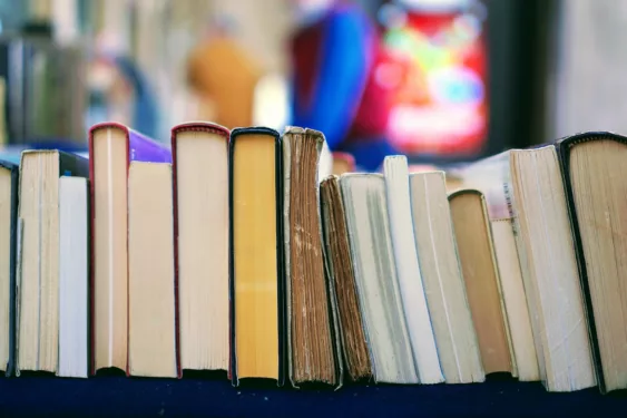 Estante de livros, em foto que ilustra post sobre livros sobre administração pública. Foto: Tom Hermans/Unsplash