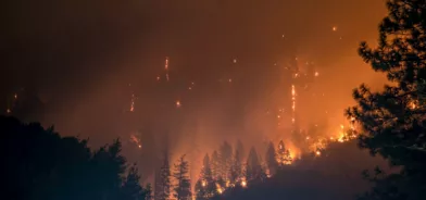 Incêndio florestal, em foto que ilustra post sobre prevenção de desastres naturais. Reprodução: Matt Howard/Unsplash.