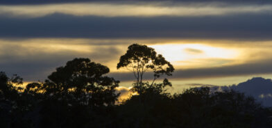Pôr do sol colorido no rio Amazonas na floresta tropical, Brasil. Foto que ilustra post sobre fiscalização ambiental municipal. Reprodução: piccaya/Envato.