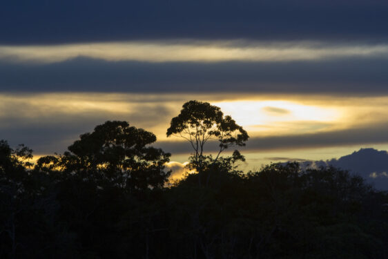 Pôr do sol colorido no rio Amazonas na floresta tropical, Brasil. Foto que ilustra post sobre fiscalização ambiental municipal. Reprodução: piccaya/Envato.