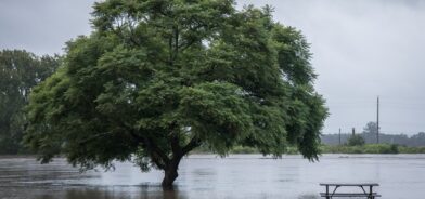 Águas de inundação, em foto que ilustra post sobre mudanças climáticas. Por Lightitup_now/Envato.