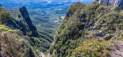 Paisagem montanhosa com florestas no Brasil, em foto que ilustra post sobre preservação ambiental. Reprodução: wirestock/Envato.