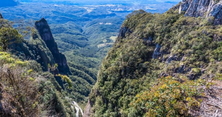 Paisagem montanhosa com florestas no Brasil, em foto que ilustra post sobre preservação ambiental. Reprodução: wirestock/Envato.