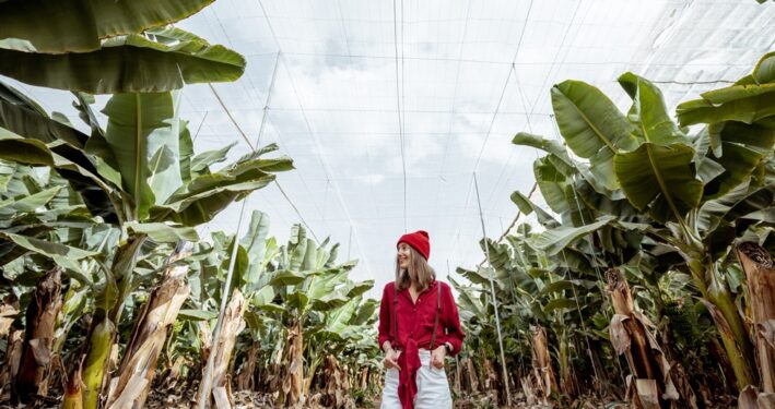 Mulher andando no meio de plantação, em foto que ilustra post sobre turismo rural. Reprodução: RossHelen/Envato.