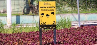 Jardim de chuva em São Paulo. Foto que ilustra post sobre drenagem urbana. Reprodução: Prefeitura Municipal de São Paulo.
