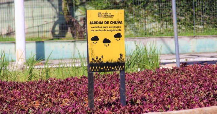 Jardim de chuva em São Paulo. Foto que ilustra post sobre drenagem urbana. Reprodução: Prefeitura Municipal de São Paulo.