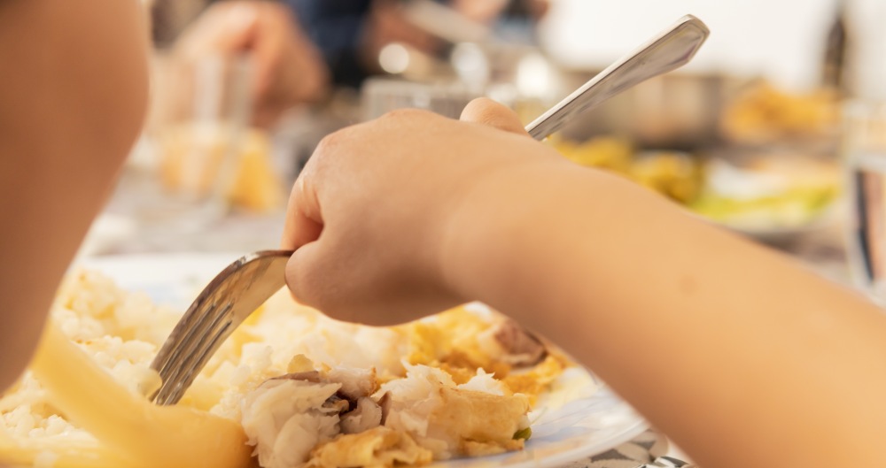 Criança almoçando. Foto que ilustra post sobre segurança alimentar. Reprodução: Komuso_colorsandia/Envato.