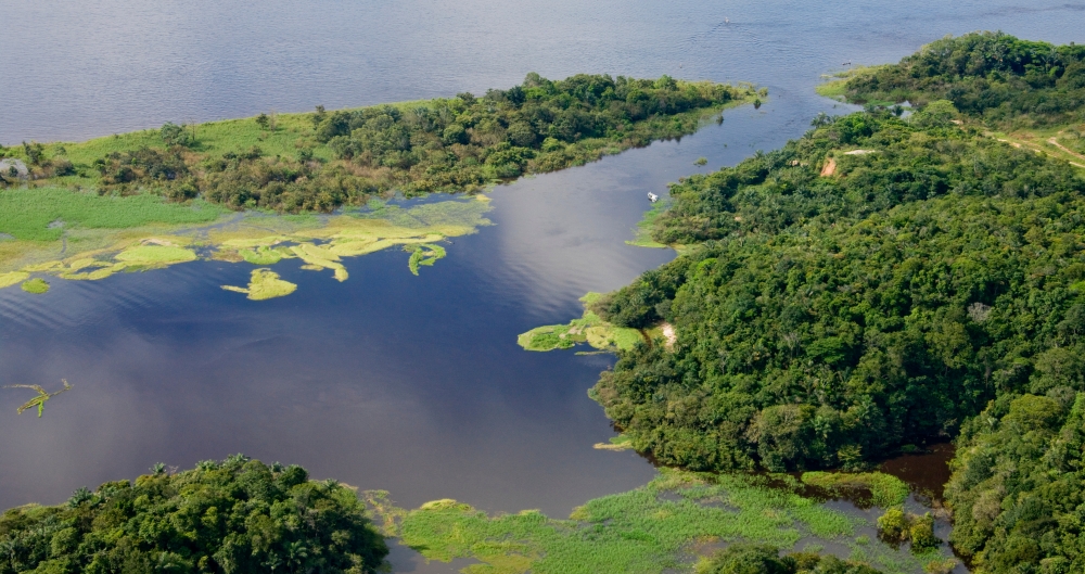 Vista aérea da região ao redor de Manaus, Amazonas, Rio Amazonas, Brasil. Foto que ilustra post sobre proteção ambiental. Reprodução: AltrendoImages/Envato.