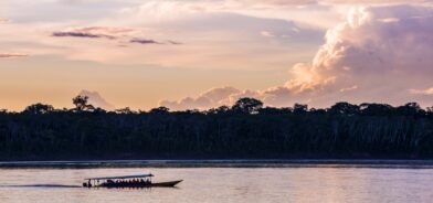 Floresta amazônica. Foto que ilustra post sobre equilíbrio ecológico. Reprodução: MatthewWilliams-Ellis/Envato.