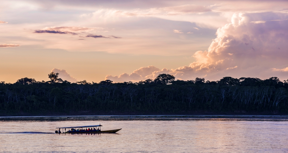 Floresta amazônica. Foto que ilustra post sobre equilíbrio ecológico. Reprodução: MatthewWilliams-Ellis/Envato.